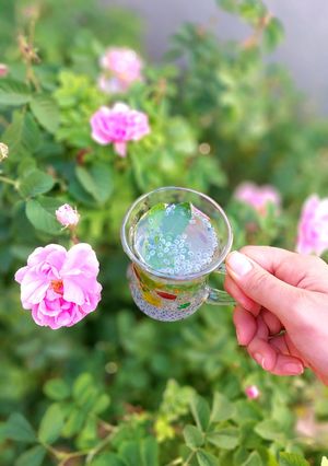 عکسی از دستور 🌸شربت نعناع🌸