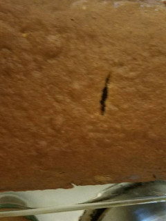A picture of Applesauce Cake.