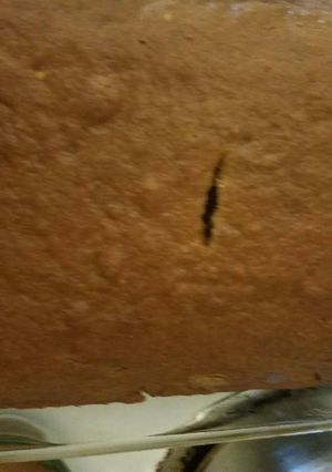 A picture of Applesauce Cake.
