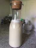 Bebida vegetal de avena