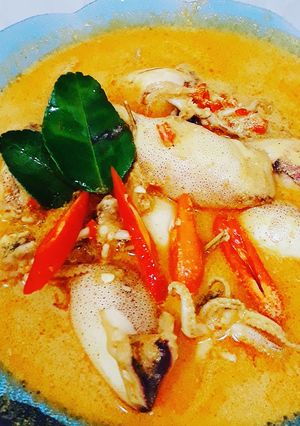 Foto resep Gulai cumi simple
