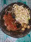 Pencok cambah