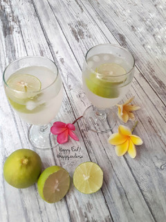Foto resep Es Air Kelapa Jeruk Nipis