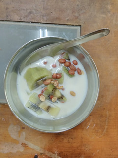 豆漿奇異果飲 的食譜成品照片