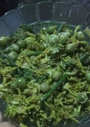 Foto resep Tumis pakis bunga pepaya + Leunca #BikinRamadanBerkesan