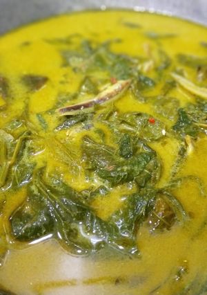 Foto resep Gulai Pucuk ubi + teri + jariang