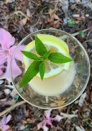 Une photo de 🍋 Crème dessert au citron