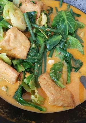 Foto resep Gulai kapau sederhana