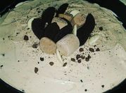 A picture of chocolate oreo cookies