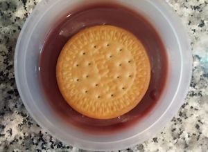 Una foto de Flan Potax con Arándanos