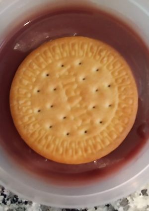 Una foto de Flan Potax con Arándanos