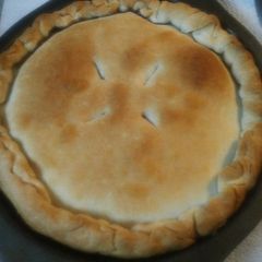 A picture of My Great Grandmothers Mincemeat Pie.