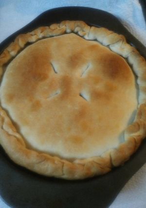A picture of My Great Grandmothers Mincemeat Pie.