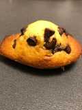 Chocolate Chip Madeleines