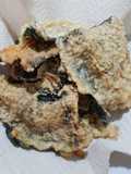 Olahan dari Laut: Nori Tempura