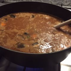A picture of Chicken / Veggie Stew.