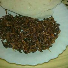 A picture of Roasted Termites With Ugali.