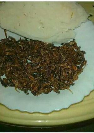 A picture of Roasted Termites With Ugali.