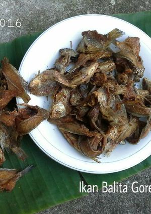 Foto resep Ikan Balita Goreng Garing