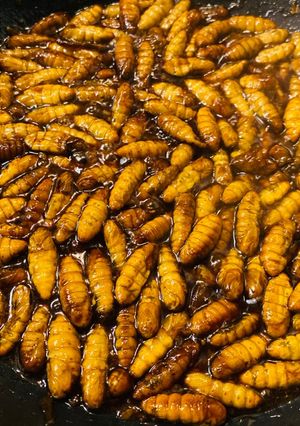 Hình của món Nhộng sốt teriyaki.
