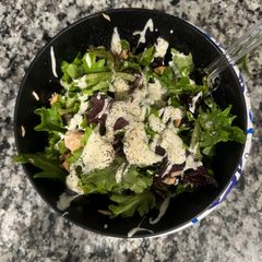 A picture of Salmon Salad Protein.