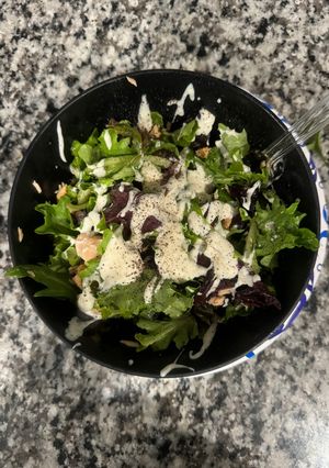 A picture of Salmon Salad Protein.