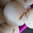 રસગુલ્લા (Rasgulla Recipe In Gujarati)