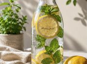 Gambar minuman mojito daun mint