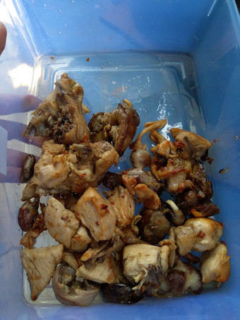 Cara Gampang Membuat Ayam goreng gurih Rumahan