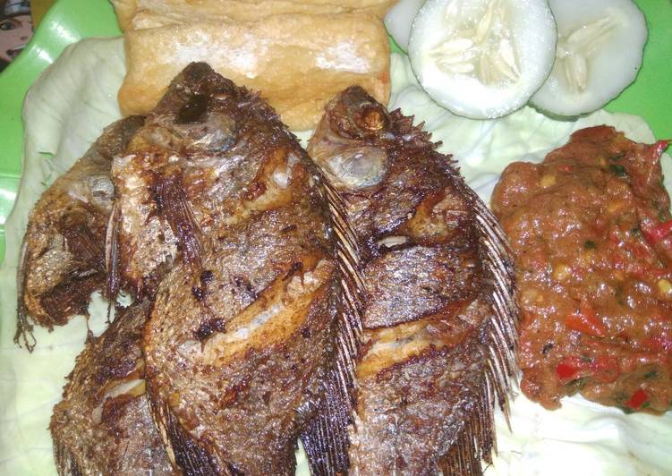 Resep 78) Mujair Goreng Sambel Kemangi #selasabisa yang sempurna