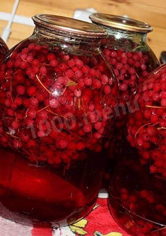 Компот з порічки 🫙