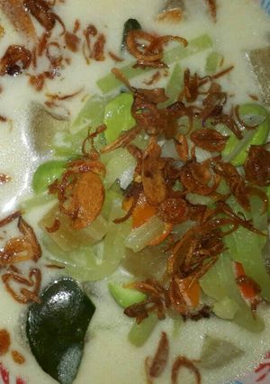 Foto resep SAYUR SANTAN LABU SIAM plus PETE
