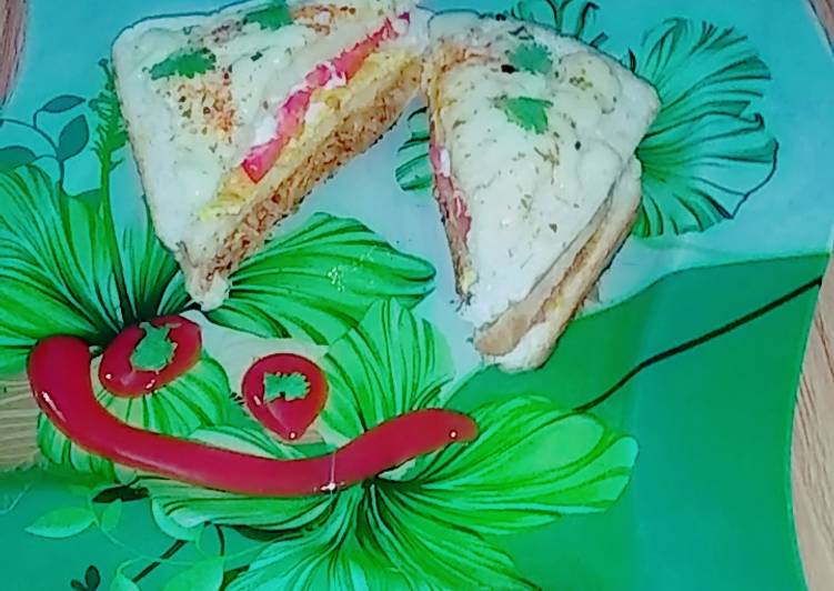 How to Prepare Appetizing Chicken Tomato Cheese Sandwich