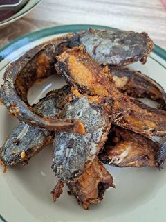 Foto resep 08. Ikan Lele Goreng