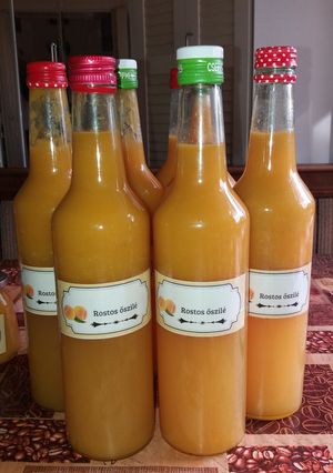 Rostos őszibarack ivólé befőzőautomatával recept fotója