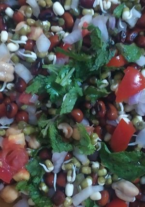 A picture of Mixed Bean Sprouts.