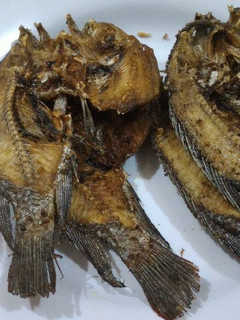 Foto resep Ikan Mujair Goreng