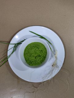 ओल्या लसणाची चटणी (Olya Lasanachi Chutney Recipe In Marathi) रेसिपी चे मुख्य फोटो