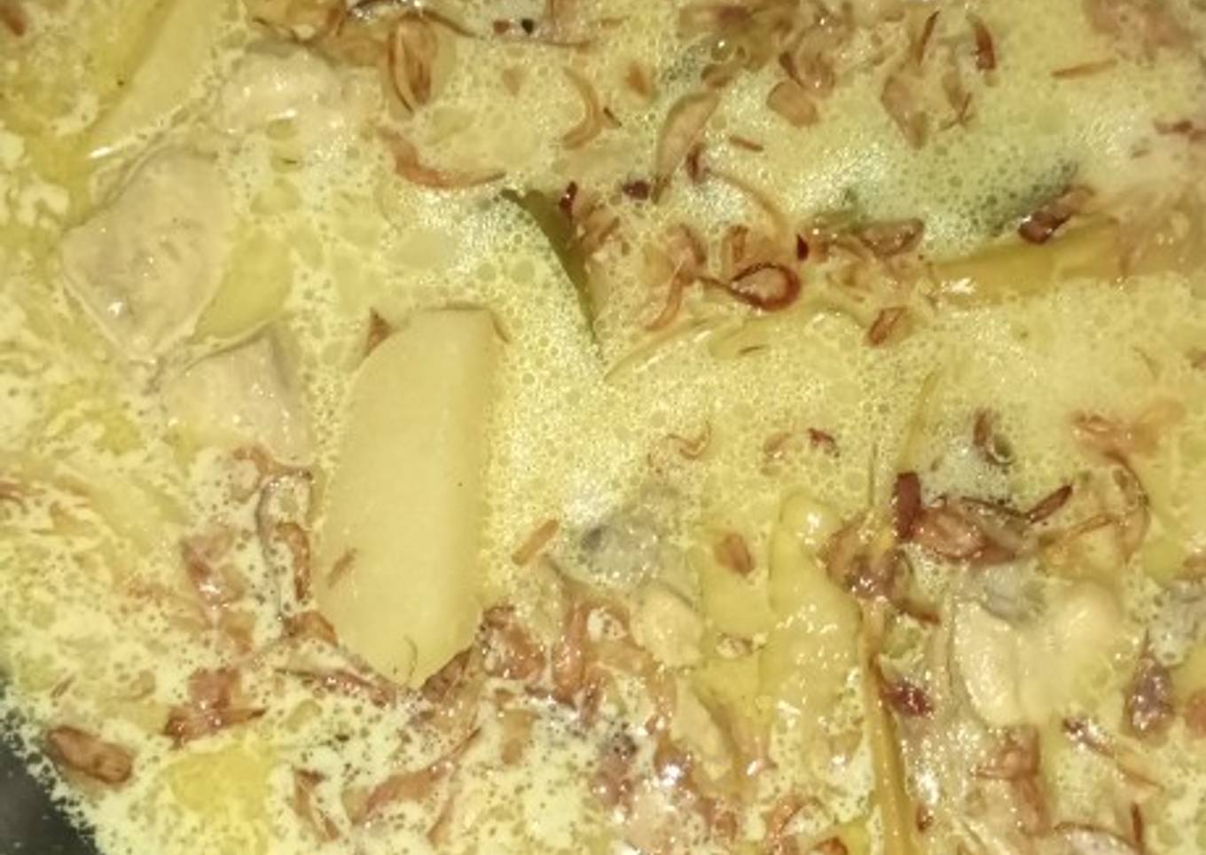 Opor ayam+kentang