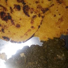 A picture of Makki ki roti & sarso ka saag.