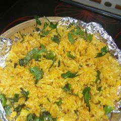 Friedrice A picture of Friedrice.