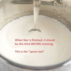 Instant Pot: Authentic Icelandic Skyr A picture of Instant Pot: Authentic Icelandic Skyr.