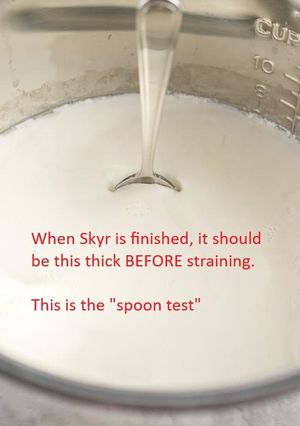 A picture of Instant Pot: Authentic Icelandic Skyr.