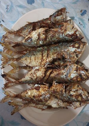 Foto resep Kembung goreng kering