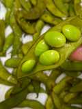 Edamame Crunchy Cuma 5 Menit