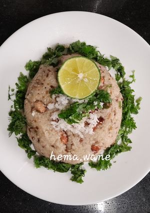 A picture of Kodo millet upma.
