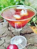 પ્લમ આઇસ ટી (Plum Ice Tea Recipe In Gujarati)