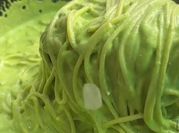 Una foto de espagueti verde de cilantro