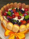 Charlotte di frutta semplice