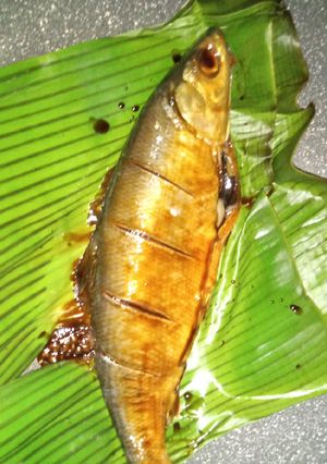 Foto resep Ikan Bakar Bandeng Kecap